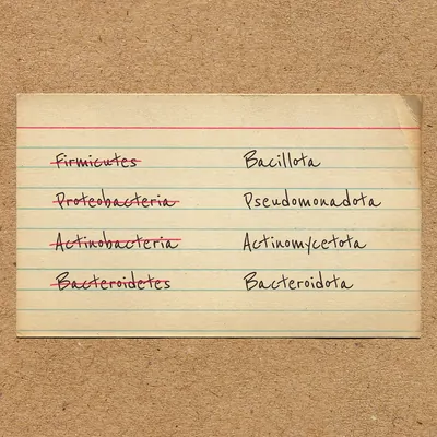 A notecard with outdated names of prokaryotic phyla crossed out and replaced with the newer names. A notecard with outdated names of prokaryotic phyla crossed out and replaced with the newer names.